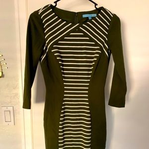 Antonio Melani Green Striped Dress